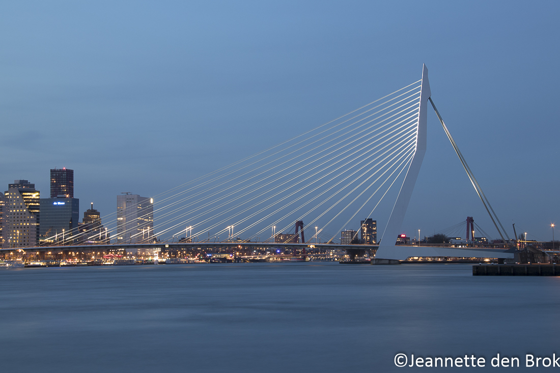 City Lights Rotterdam – Jeannette den Brok